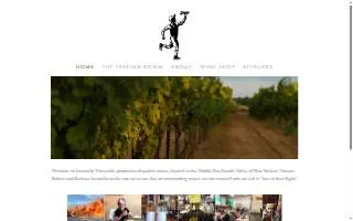 Jaramillo Vineyards Wine Tasting Room website