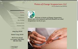 Points of Change Acupuncture LLC