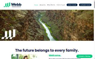 An unnamed financial planner (Webb Financial Advisors)
