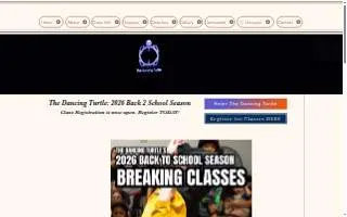 The Dancing Turtle LLC of South Valley website
