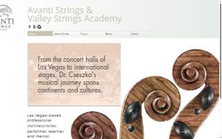 Valley Strings Academy