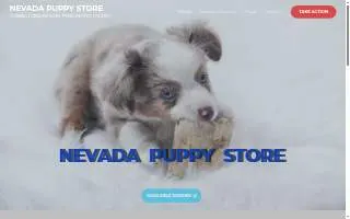 Nevada Puppy Store of Henderson website