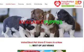 Puppy Boutique Las Vegas website