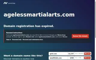 Ageless Martial Arts Las Vegas of Paradise website