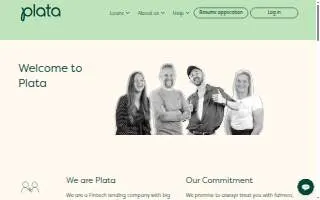 Plata Design website