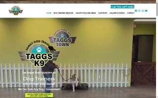 Taggs K9 Dog Training of Paradise