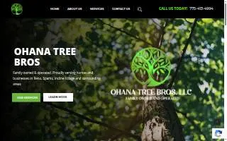 Ohana Tree Bros website
