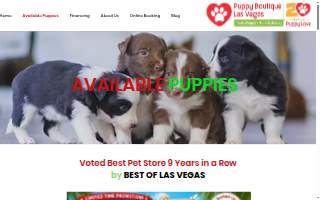 Puppy Boutique Las Vegas of Spring Valley