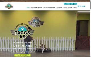 Taggs K9 Dog Training of Winchester