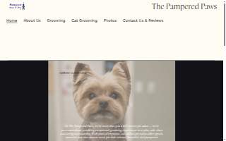 Pampered Paws N’ Play