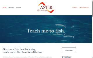 Aster Consulting