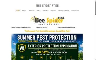 Bee Spider Free website