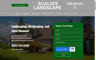 Scalia's Landscape
