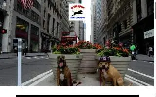 Dynamic Dog Training website