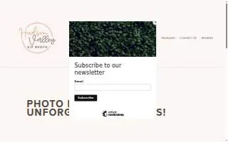 Hudson Valley GIF Booth website