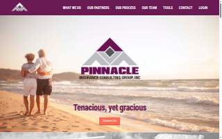 Pinnacle Insurance Agency Inc.