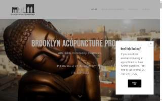 Brooklyn Acupuncture Project website