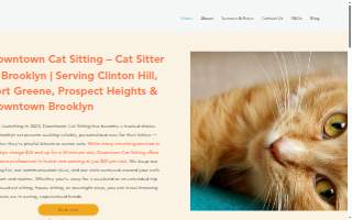 Downtown Cat Sitting : Cat Sitter in Brooklyn