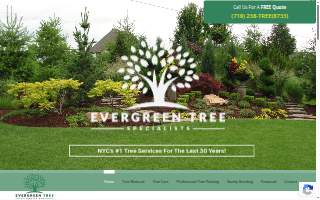 Evergreen Tree Specialists