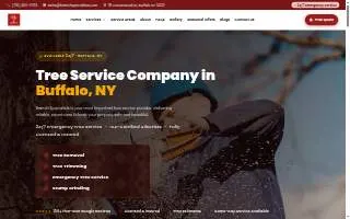 Branch Specialists of Buffalo website