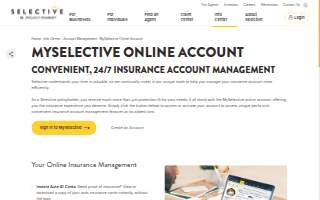 Selective Staffing Solutions website