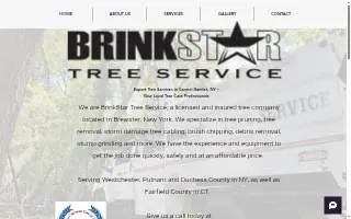 BrinkStar Tree Service website