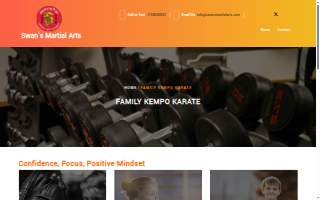 Swan's Martial Arts Academy