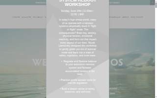 WellNest Studios- Fitness & Wellness LLC