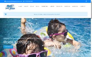 Whip's Pool Service LLC of Colonie