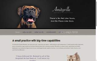 Amityville Animal Hospital of North Amityville