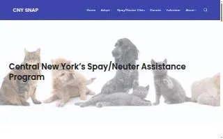 CNY SNAP website