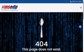 MSEDP Technology Group IT & Web Services