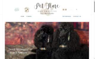 Pet Time Dog Training of Copiague