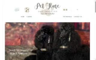 Pet Time Dog Training of Copiague website