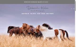 Deborah Kalas Family Portraits Hamptons Photography website