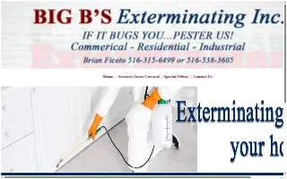 Big B's Exterminating Inc website