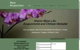 Wyse Acupuncture of Elmont website