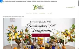Binghamton Photo website