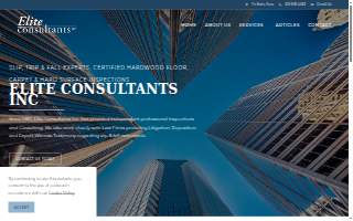 Elite Business Consultants Inc