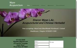 Wyse Acupuncture of Franklin Square