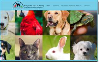 Beyond Pet Sitting