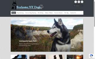 Rochester NY Dogs of Henrietta