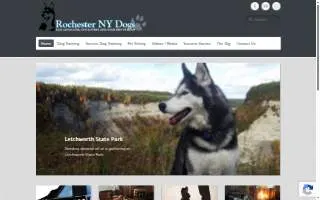 Rochester NY Dogs of Gates website