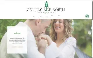 Gallery Nine North website