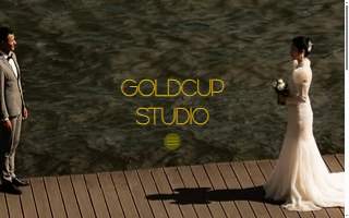 Goldcup Studio LLC