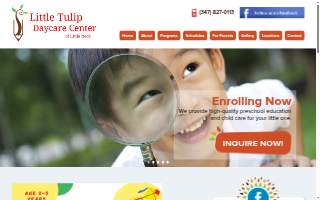 Little Tulip Daycare Center of Little Neck