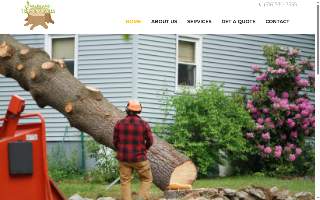 Long Island Tree Removals