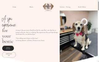 The Detailed Dog