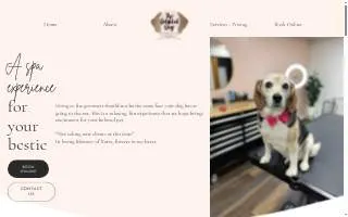 The Detailed Dog of Guilderland website