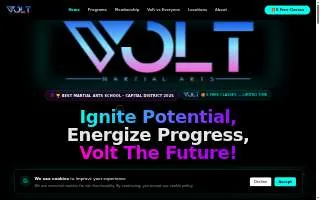 Volt Martial Arts website